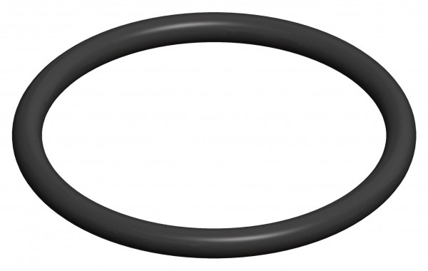 O-Ring Dichtung für Kontroll-Bauteile